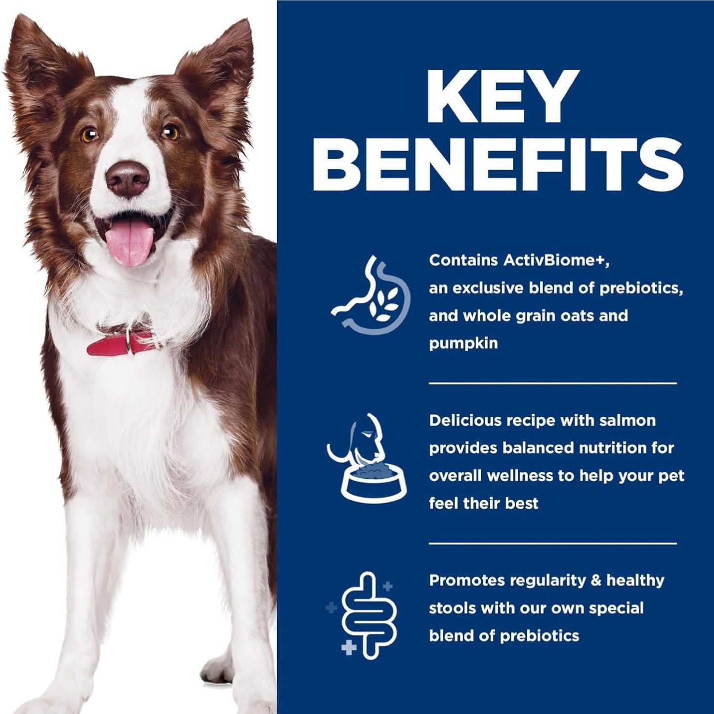 Science Diet - Specialty Prefect Digestion Salmon Original Bite Adult 1-6 Dog Dry Food
