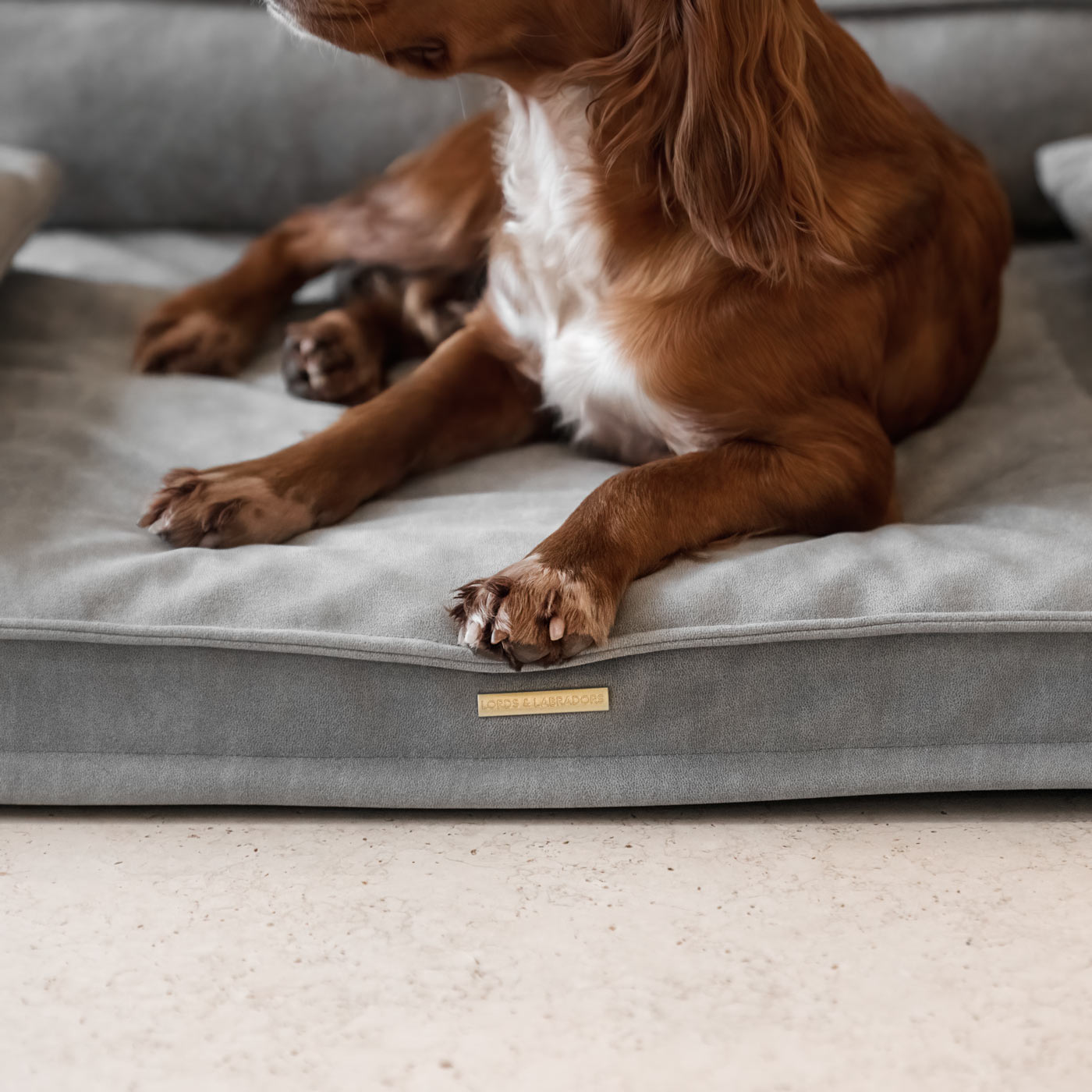 Execu-Sofa in Ash by Lords & Labradors