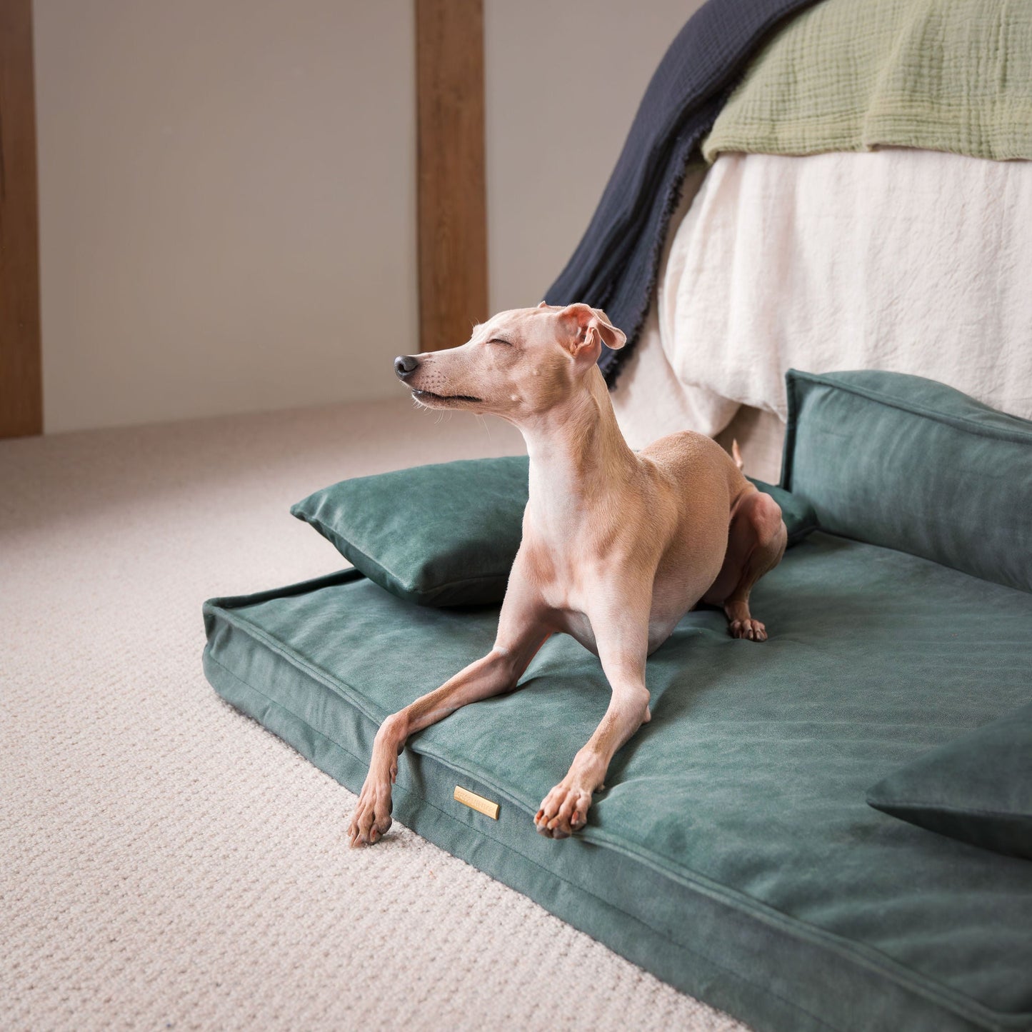Execu-Sofa in Olive by Lords & Labradors