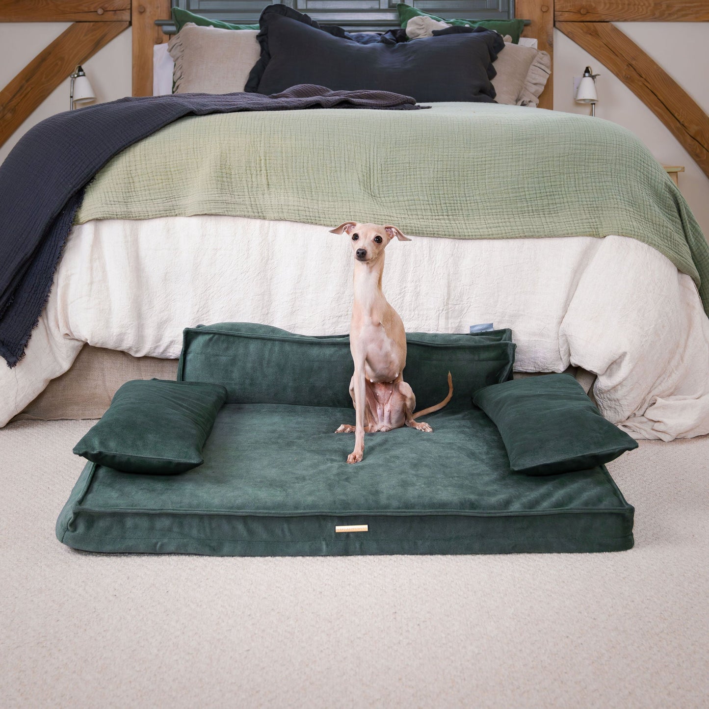 Execu-Sofa in Olive by Lords & Labradors