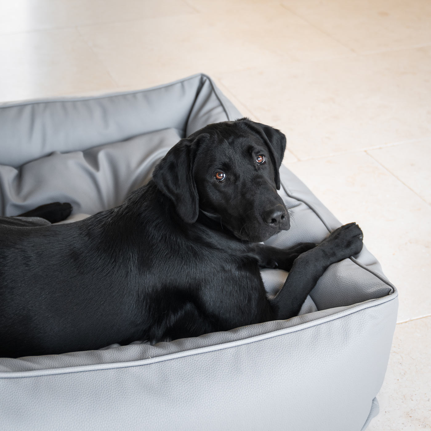 Box Bed With Removable Covers in Rhino Tough Granite Faux Leather by Lords & Labradors