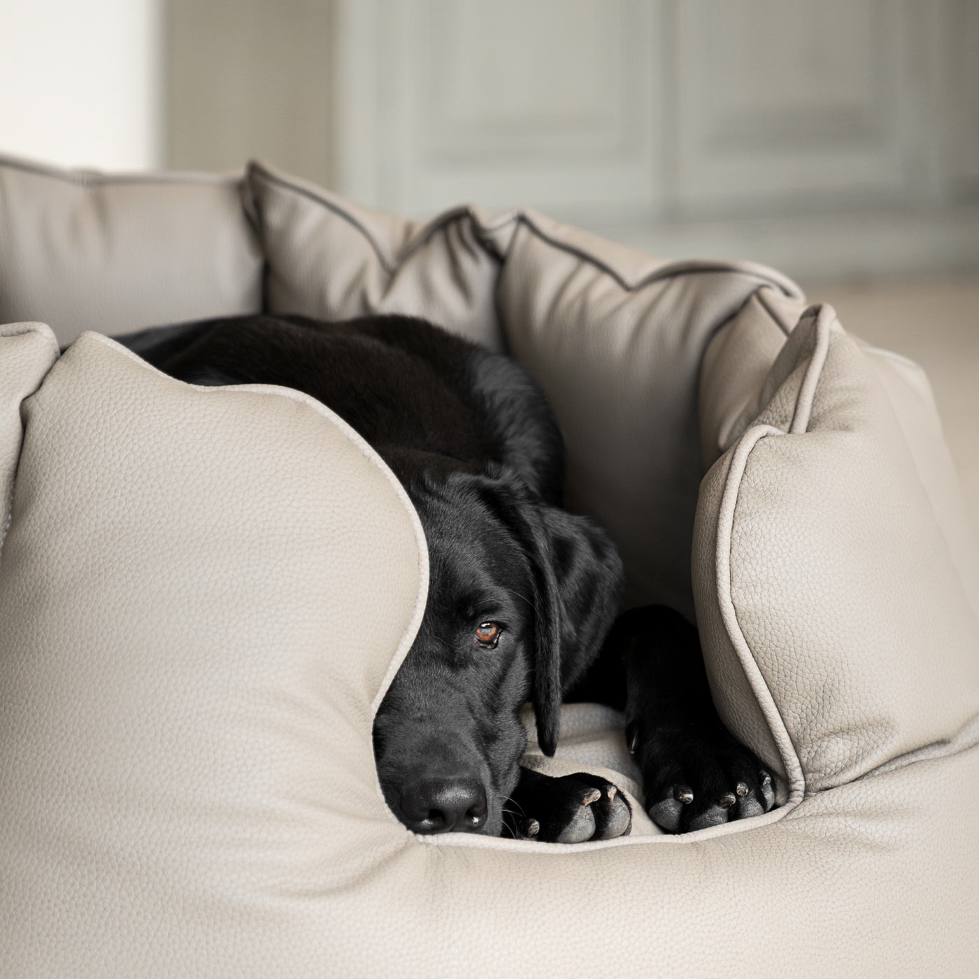 High Wall Bed With Removable Covers in Rhino Tough Camel Faux Leather by Lords & Labradors