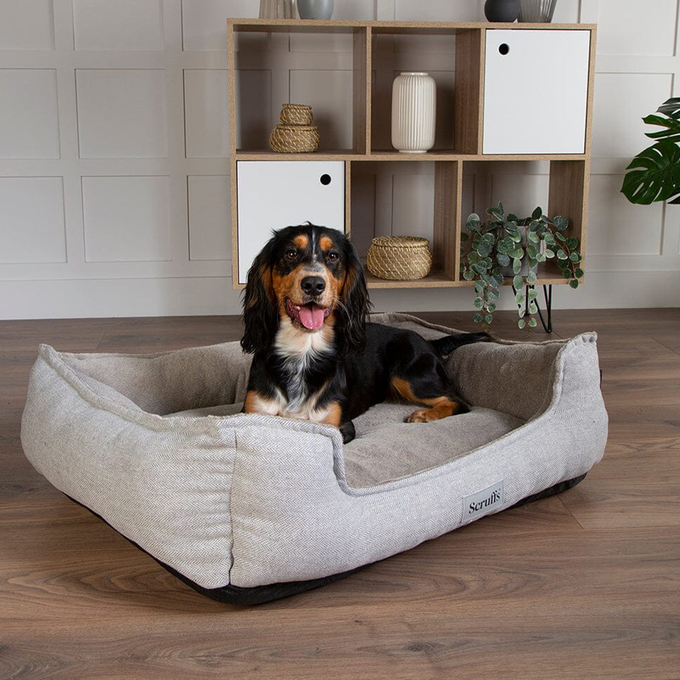 Scruffs Harvard Memory Foam Box Bed - Pearl Grey