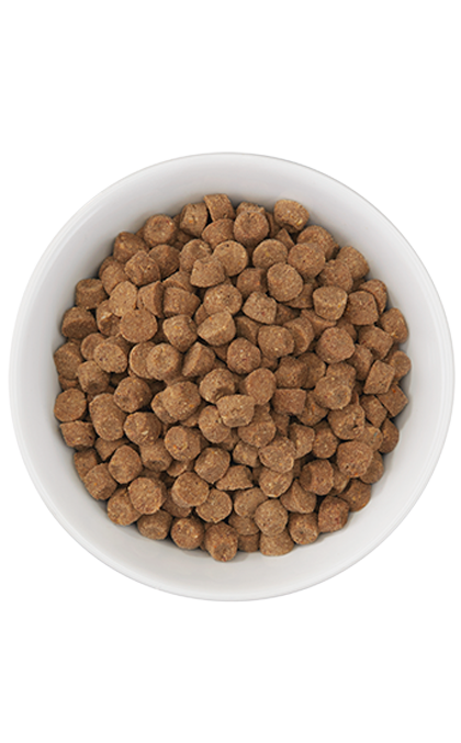 Tiki Cat Born Carnivore Fish Luau Dry Cat Food