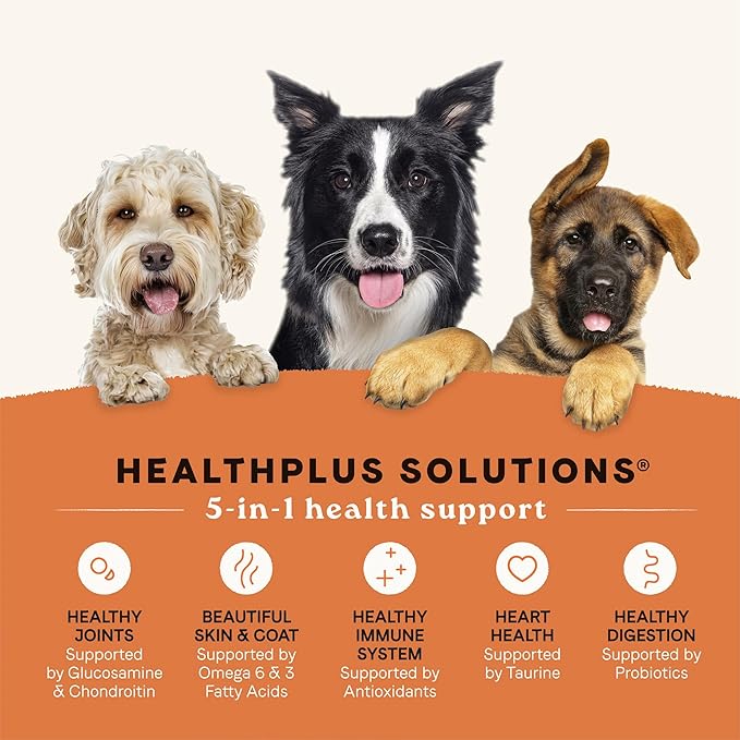 All Life Stages - Real Salmon & Ancient Dog Dry Food