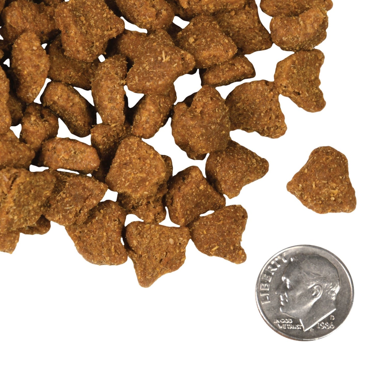 Fromm Four-Star Nutritionals Zealambder Food for Dogs
