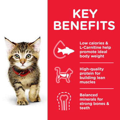 Hill's Science Plan Kitten <1 Dry Cat Food - Tuna