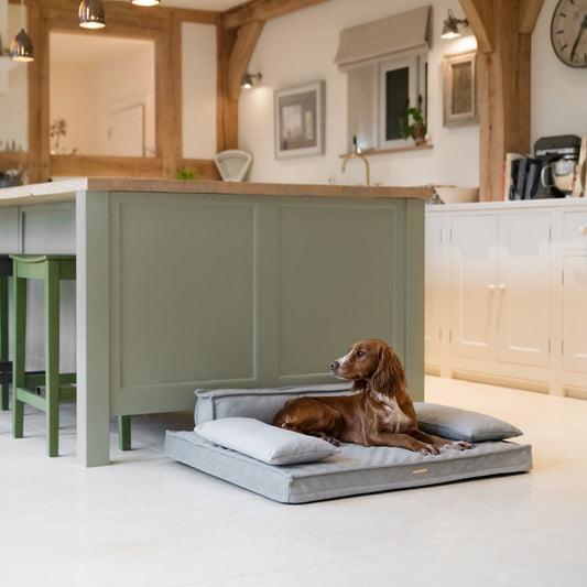 Execu-Sofa in Ash by Lords & Labradors