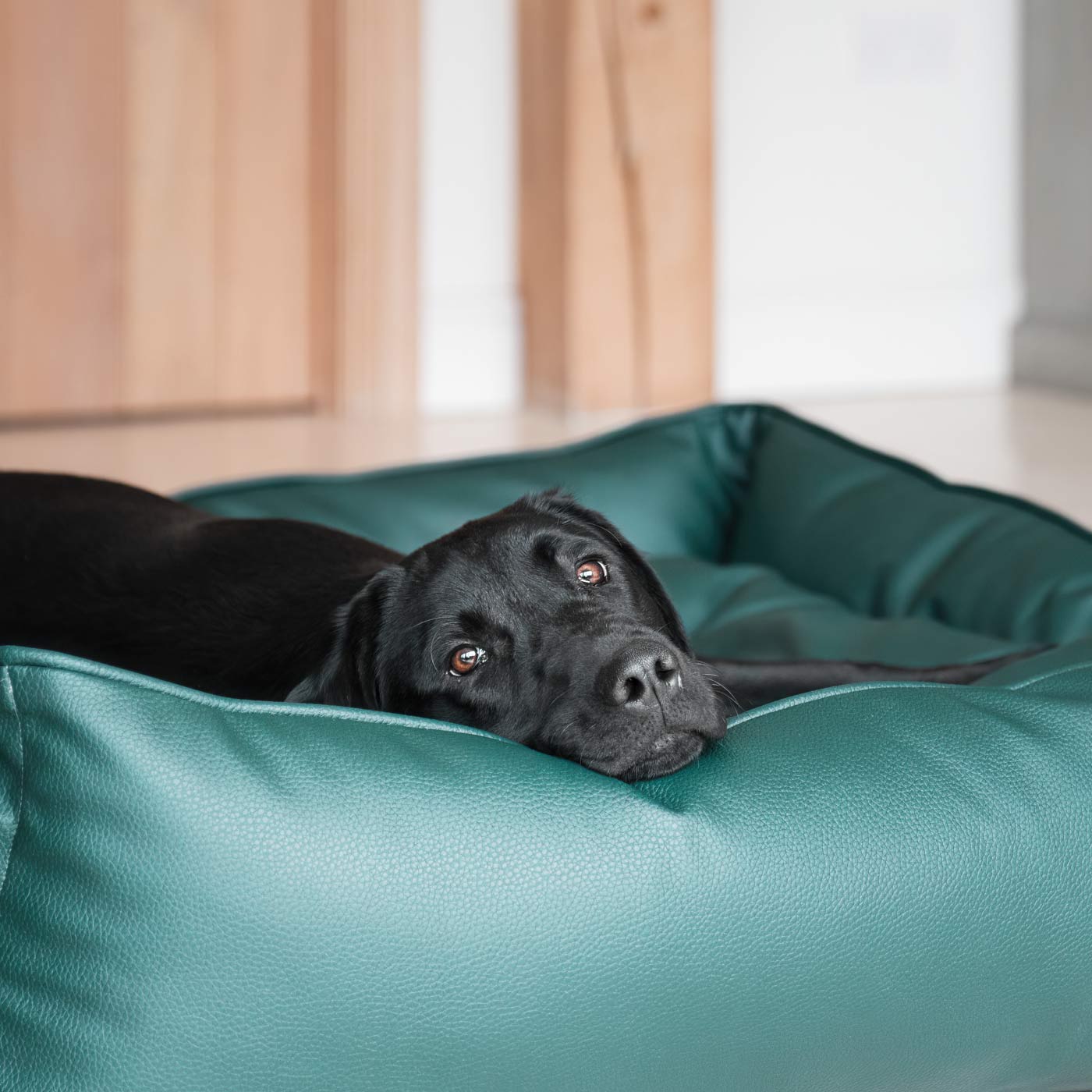 Box Bed With Removable Covers in Rhino Tough Forest Faux Leather by Lords & Labradors