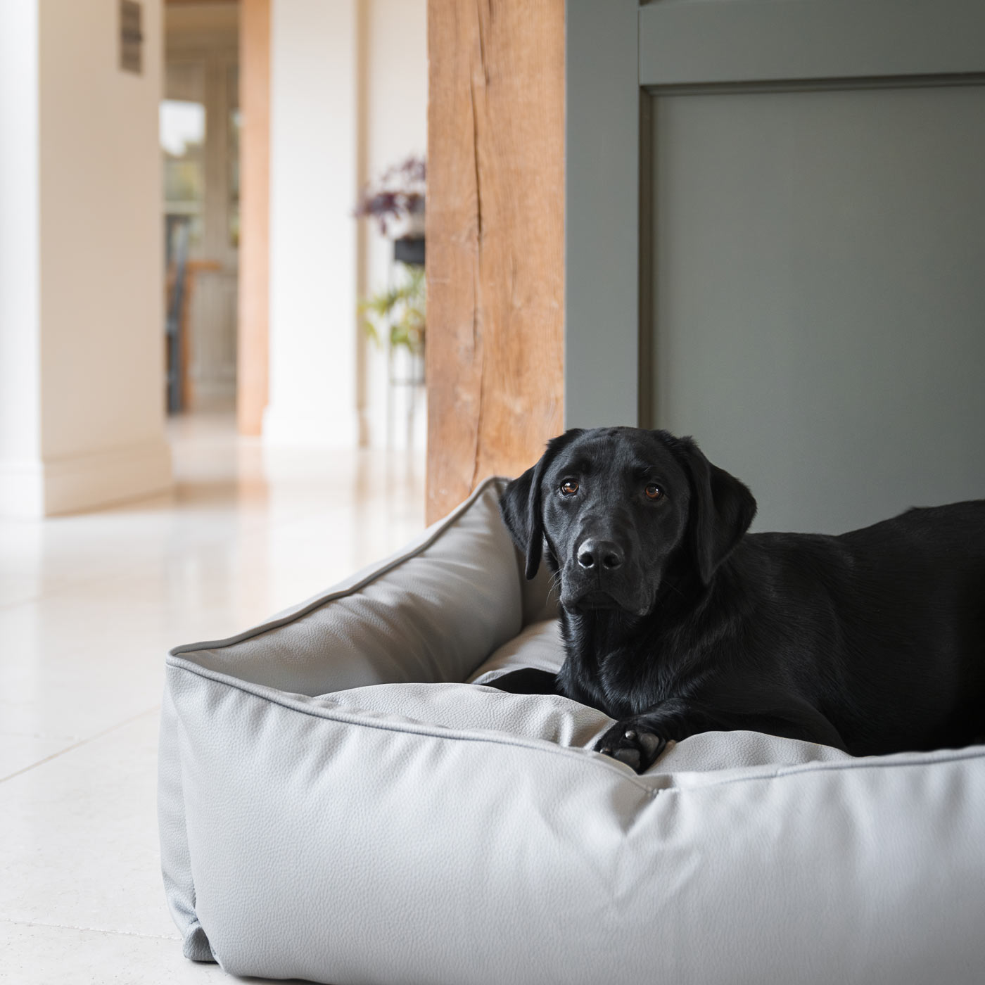 Box Bed With Removable Covers in Rhino Tough Granite Faux Leather by Lords & Labradors