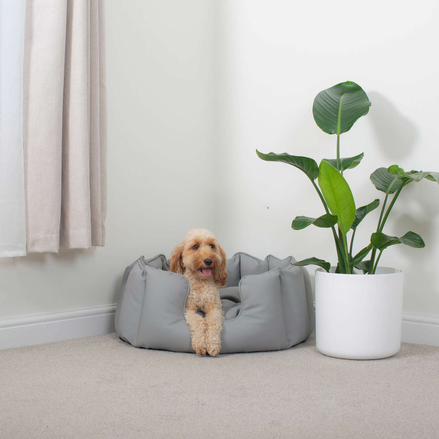 High Wall Bed With Removable Covers in Rhino Tough Granite Faux Leather by Lords & Labradors