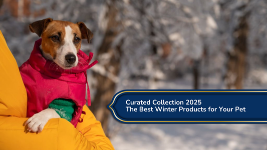 Curated Collection 2025: The Best Winter Products for Your Pet
